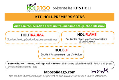 Holidago Kit Premiers Soins