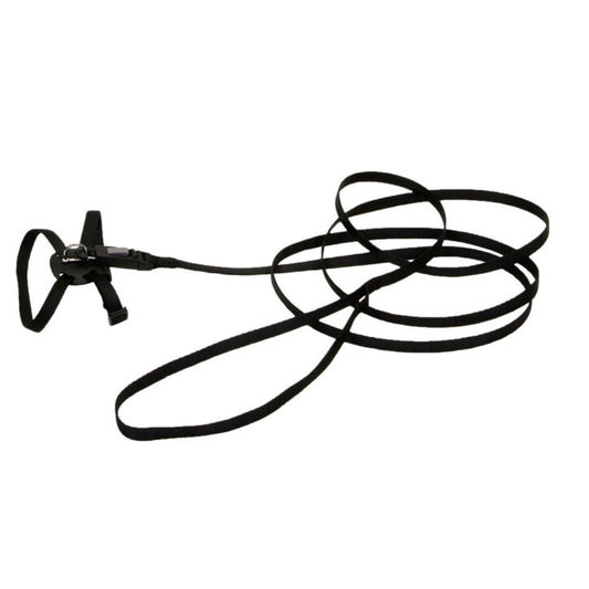 Li’l Pals harnais ajustable/laisse pour chat 5/16''X6-10''Noir