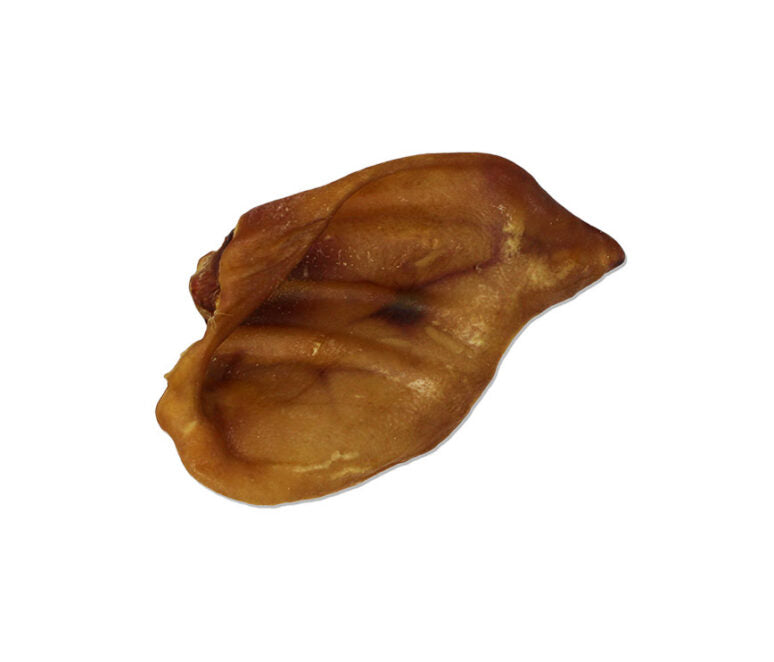 Open range Oreille de porc