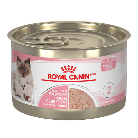 Royal Canin Conserve pour mère et Bébé chat en Mousse 145G