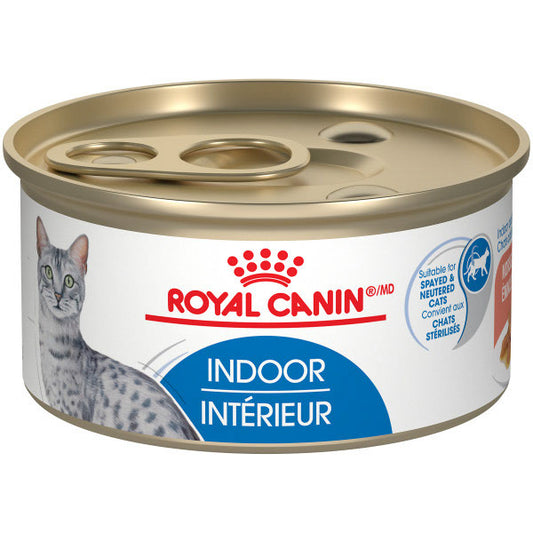 Royal Canin Conserve pour Chat Adulte d'Intérieur - Émincé en sauce 85Gr