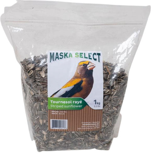 Maska Tournesol Rayé 1Kg