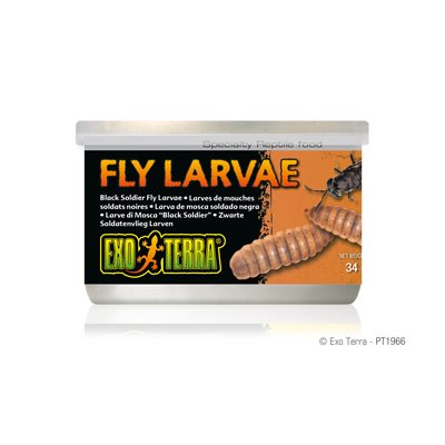 Exo Terra Conserve Larves De Mouches 34G