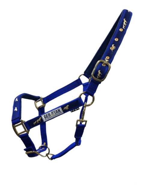 Licou en Nylon avec Motif Chevaux – Rembourré et Ajustable Bleu Royal