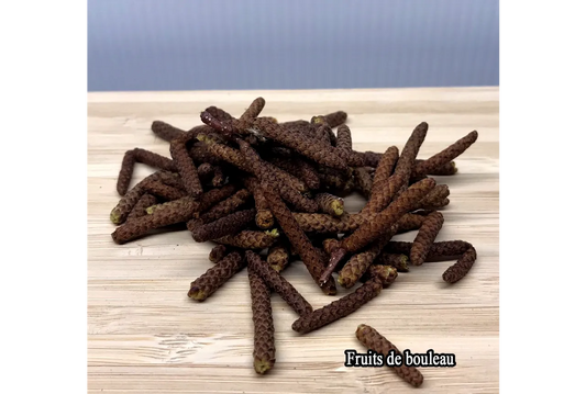 Aquarium Tout Compris Fruits De Bouleau Séchés 50G