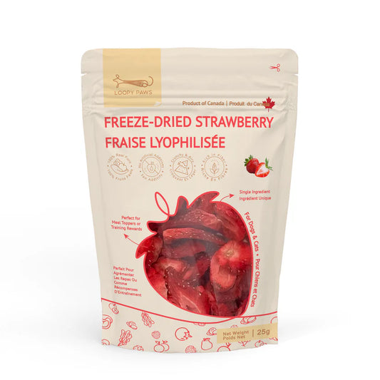 Fruité Croquant-Fraise lyophilisé