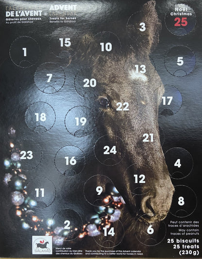 Calendrier de l'Avent pour Cheval de la fondation BEA