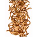 Vers de farine 275 G
