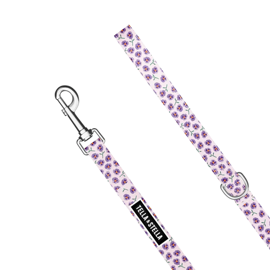 Tella & Stella Laisse Pour Chien Collection Motif XS